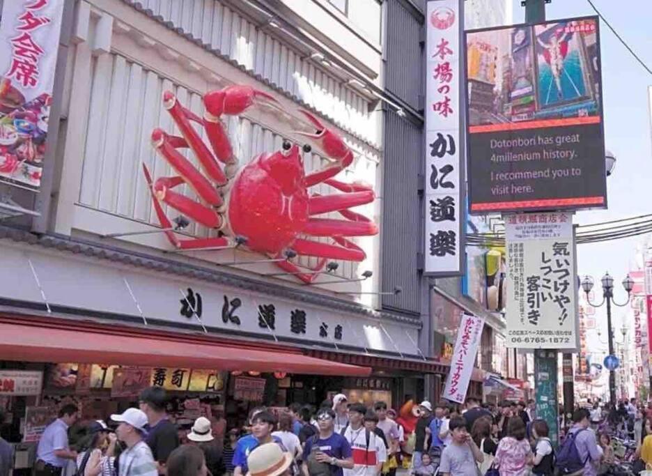 Apartemen 全新上线花跡民宿5号馆104，独享空间！4分钟到难波，日本桥，心斋桥！
